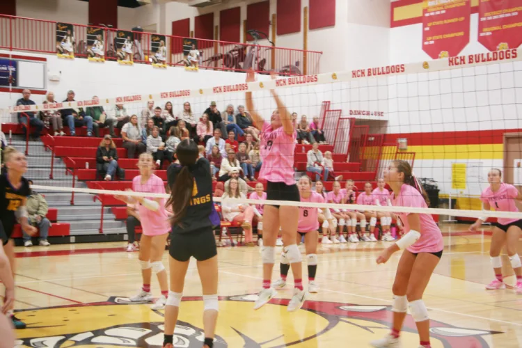 Bulldogs volleyball sinks Vikings in three